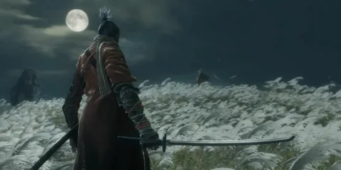 Sekiro: Shadows Die Twice ekran görüntüsü